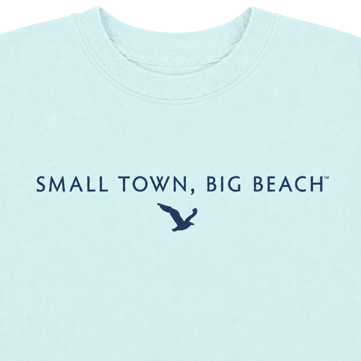 STBB Classic Youth T-Shirts