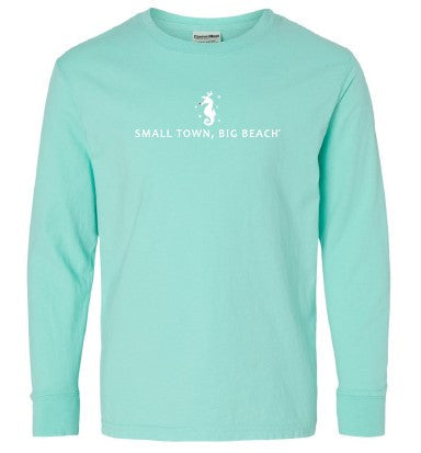 2024 Christmas Seahorse Long Sleeve Shirt-Youth