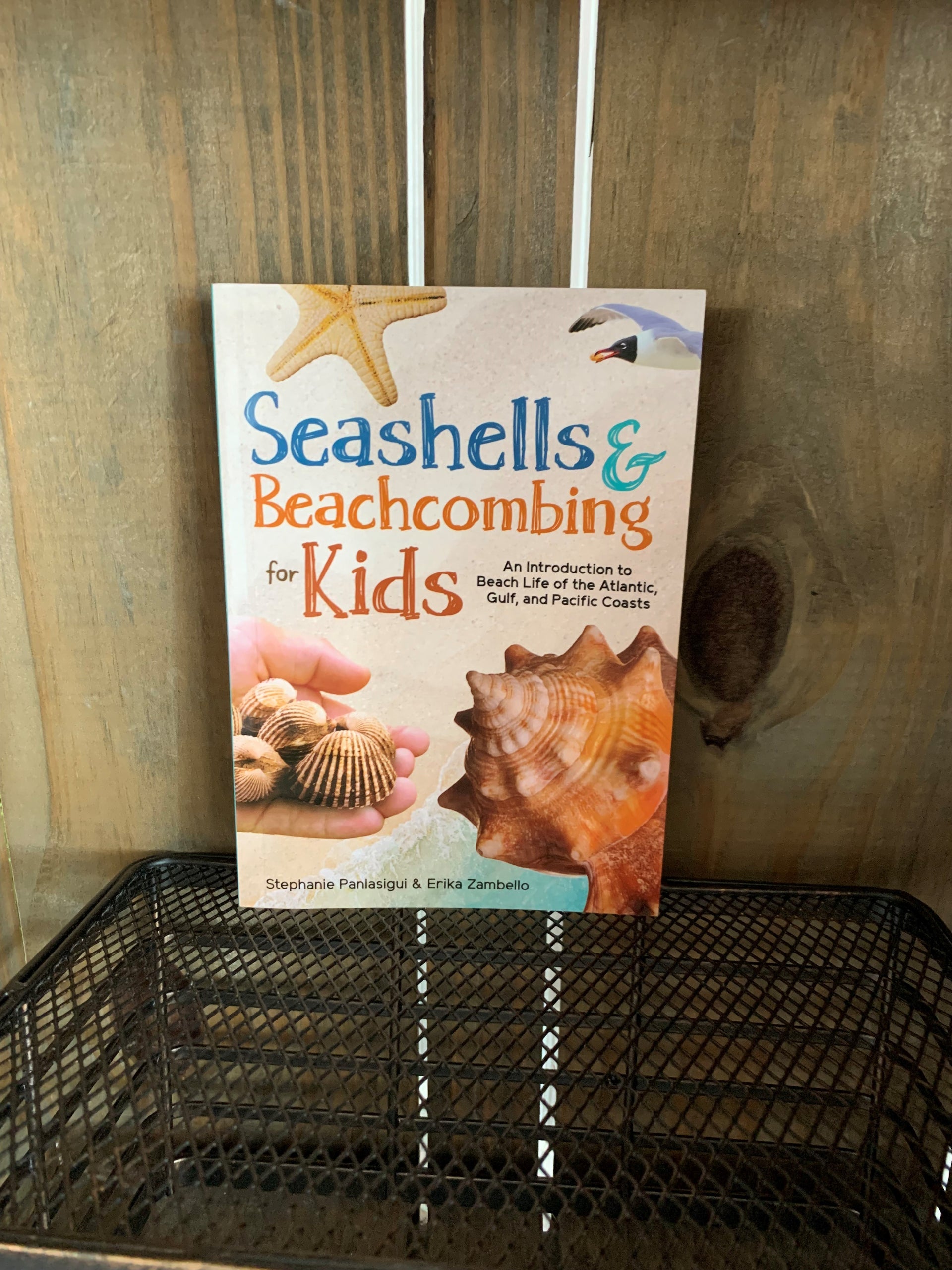 Seashells & Beachcombing for Kids