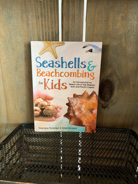 Seashells & Beachcombing For Kids