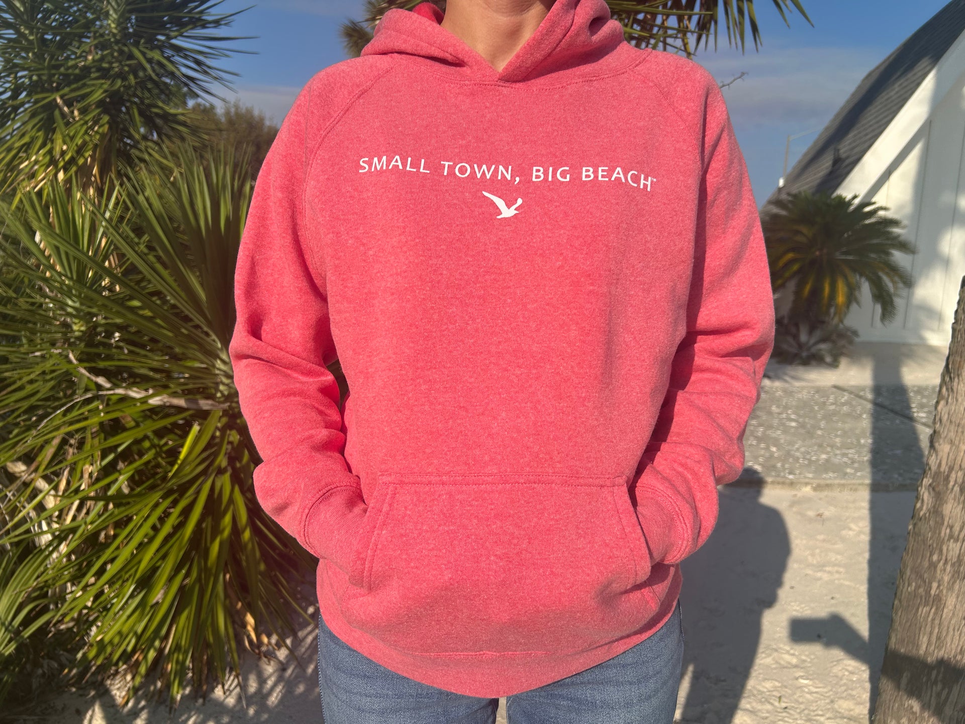 Youth Hooded Sweatshirt