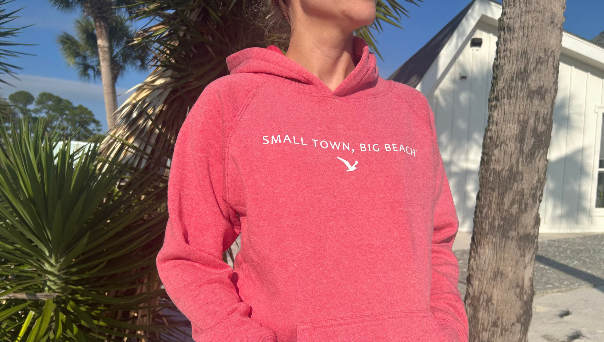 Youth Hooded Sweatshirt